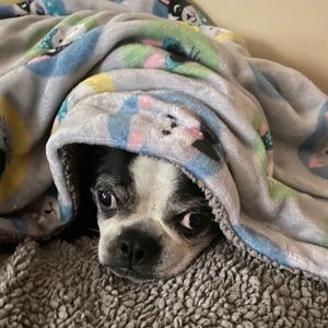 Meet your Posher, Luisa